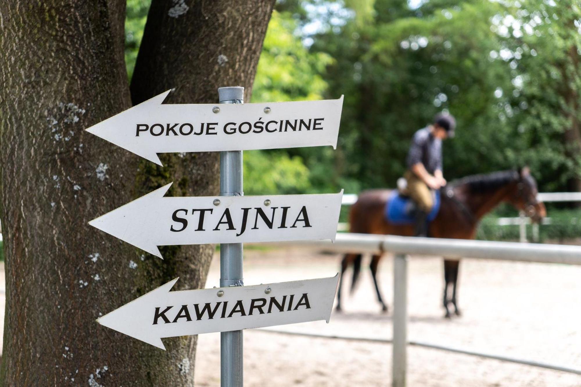 Pokoje Goscinne Cheval Cracovia Esterno foto